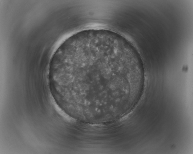 X0000111231421200907231453