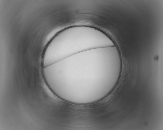 X0000111231422200907231454