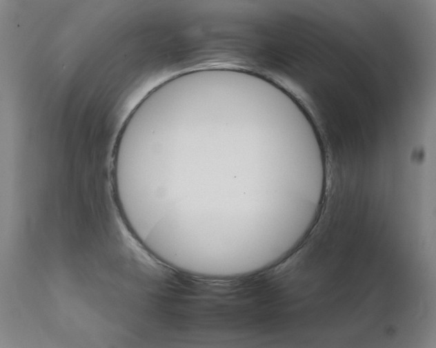 X0000111231423200907231454