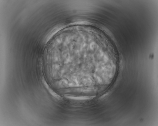 X0000111231425200907231454