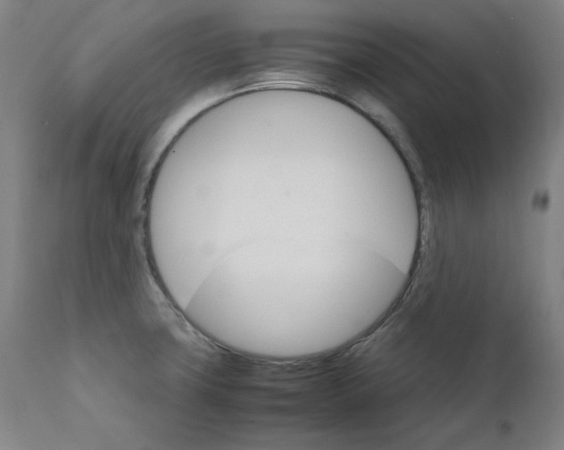 X0000111231427200907231454
