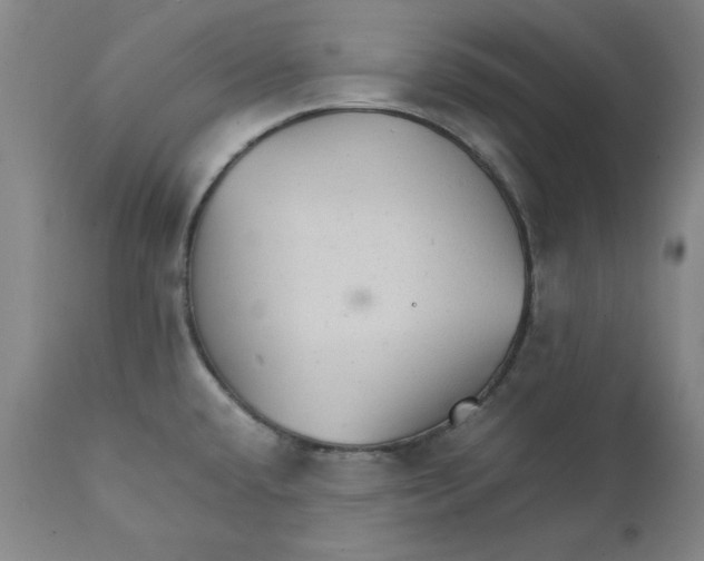 X0000111231432200907231454