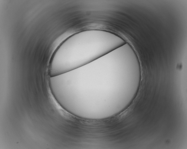 X0000111231434200907231454