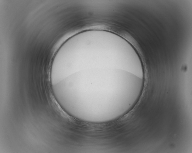 X0000111231436200907231454