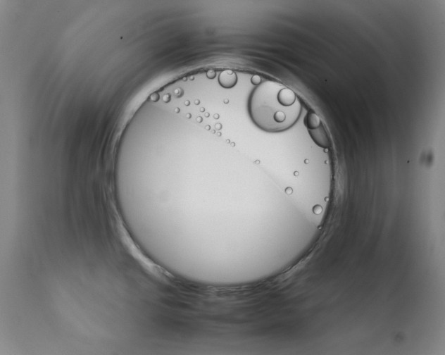 X0000111231437200907231454