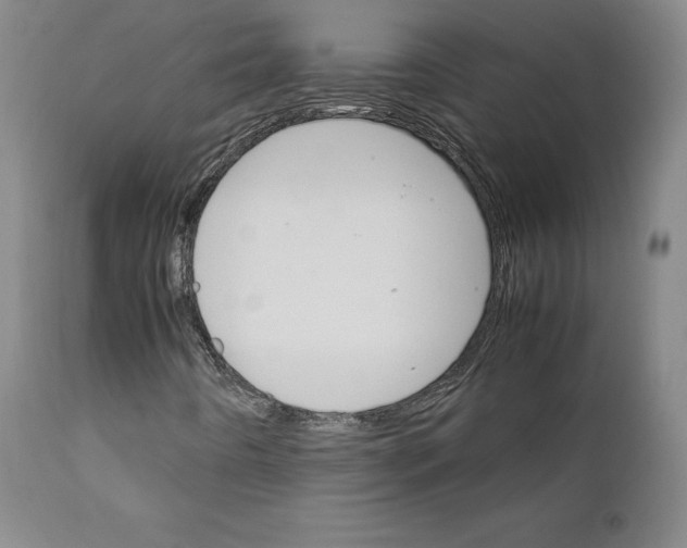 X0000111231442200907231453