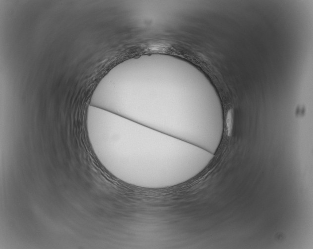 X0000111231443200907231453