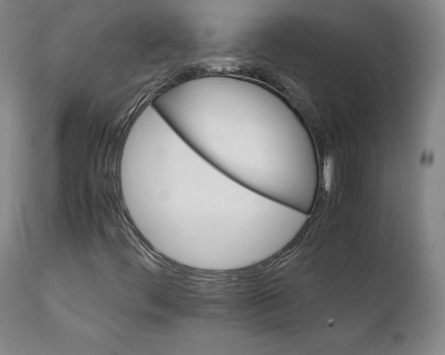 X0000111231444200907231453