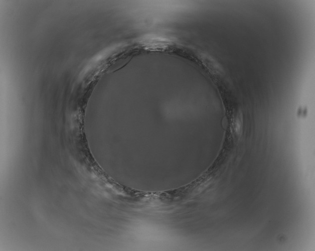 X0000111231445200907231453