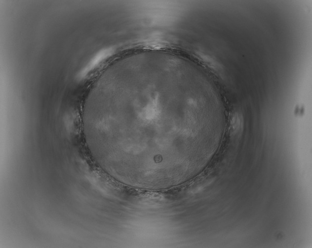 X0000111231446200907231453