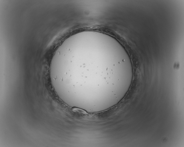 X0000111231447200907231453