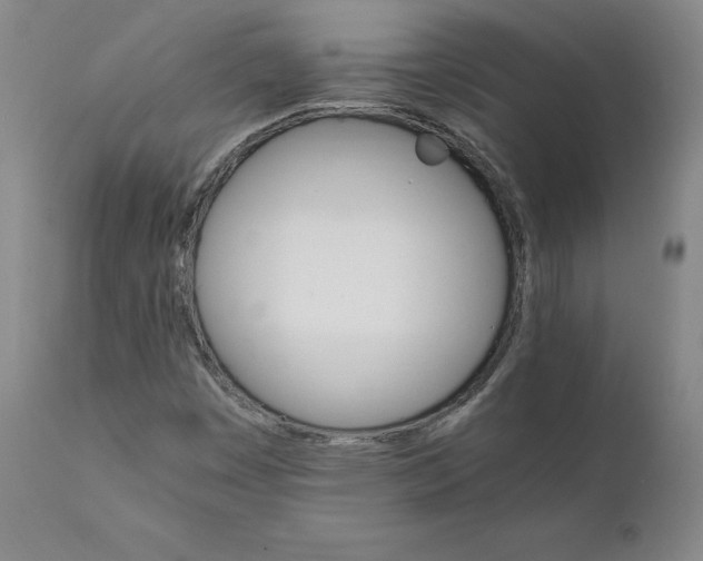 X0000111231449200907231453
