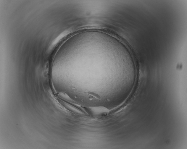 X0000111231450200907231453
