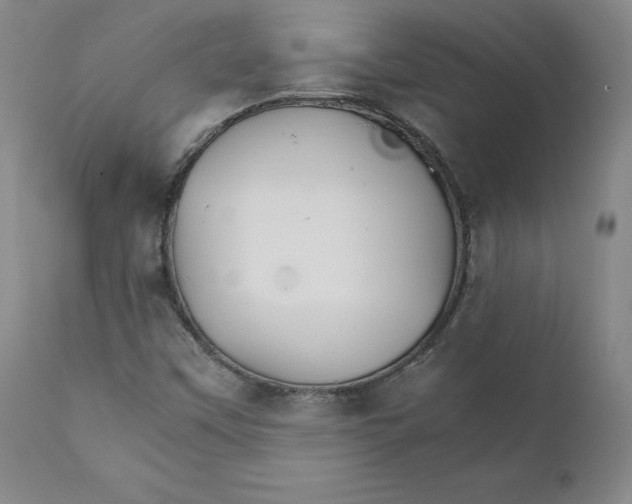 X0000111231451200907231453