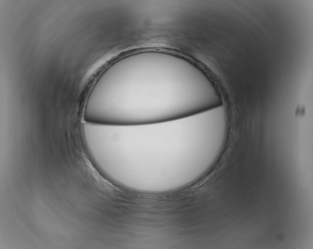 X0000111231452200907231453