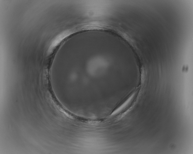 X0000111231453200907231453