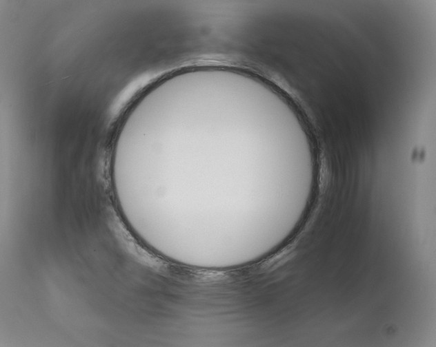 X0000111231454200907231453