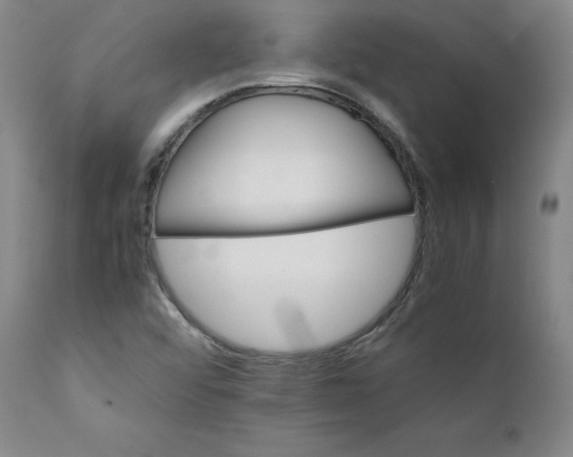 X0000111231456200907231453