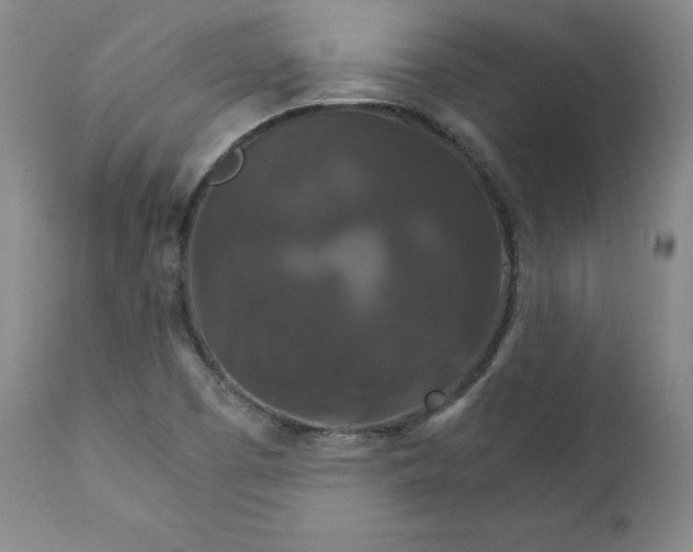X0000111231457200907231453