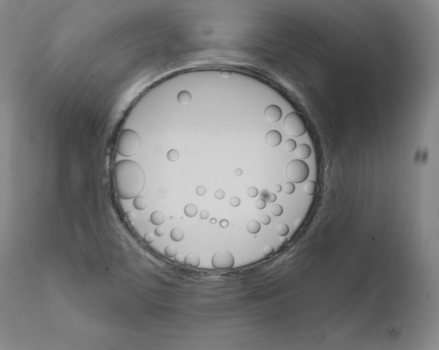 X0000111231459200907231453