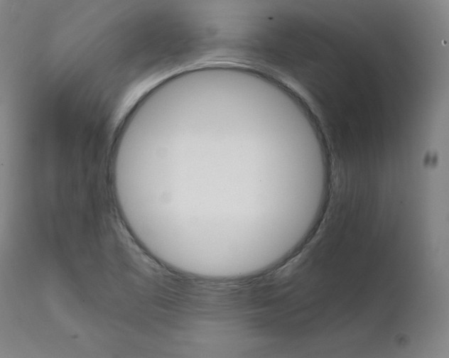X0000111231461200907231453