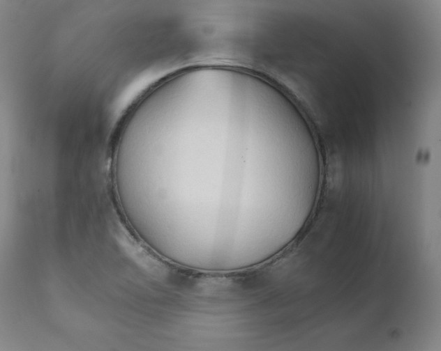 X0000111231462200907231453