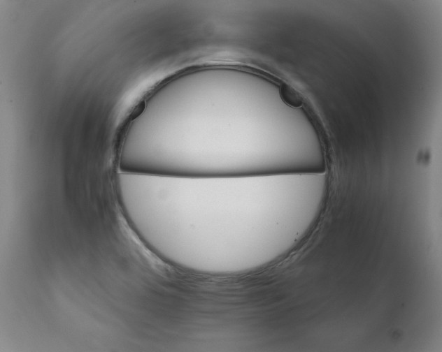 X0000111231464200907231453