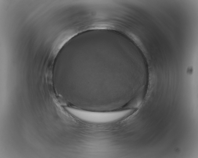 X0000111231465200907231453
