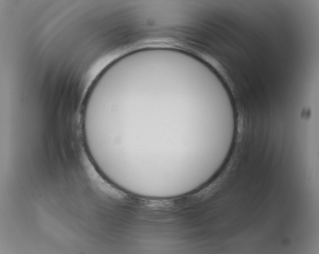 X0000111231466200907231453