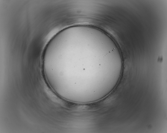 X0000111231467200907231453