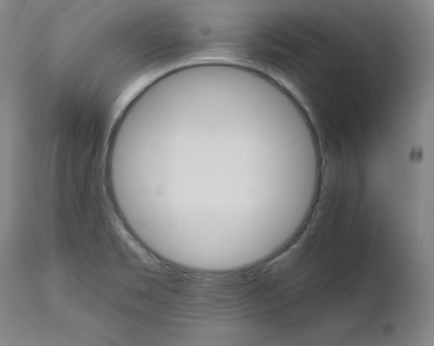 X0000111231469200907231453