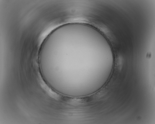 X0000111231470200907231453