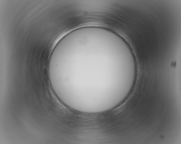 X0000111231473200907231452
