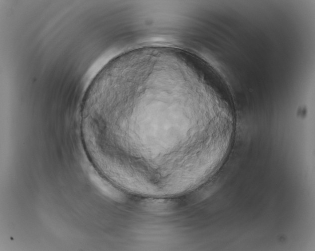X0000111231474200907231452