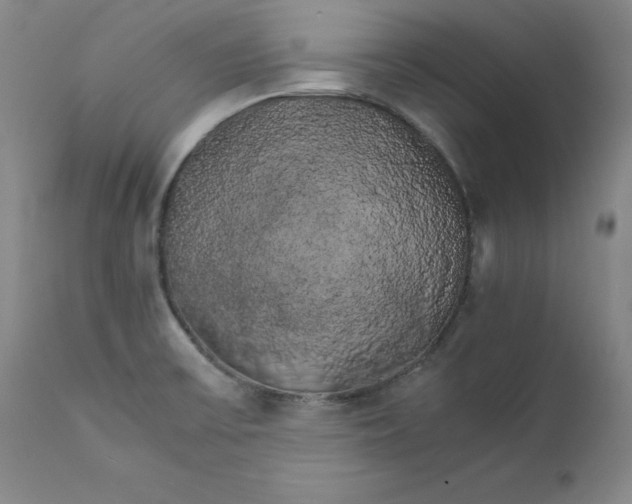 X0000111231475200907231452