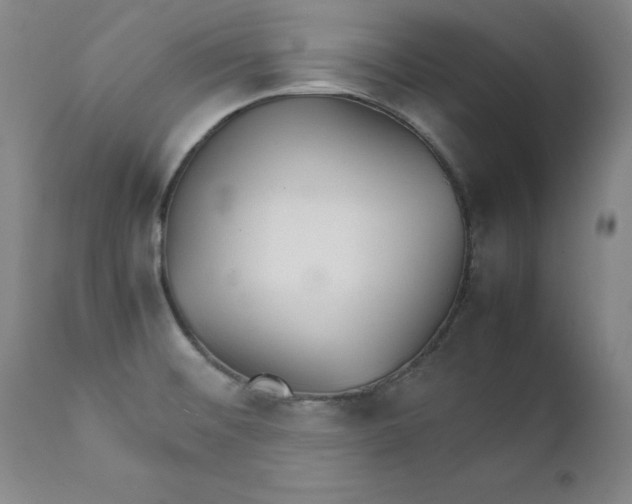 X0000111231476200907231452