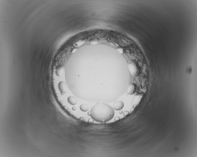 X0000111231479200907231452