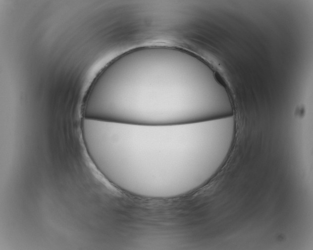 X0000111231480200907231452