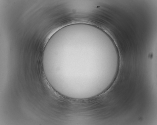 X0000111231481200907231452