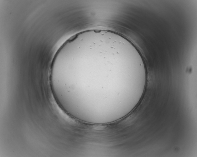 X0000111231484200907231452