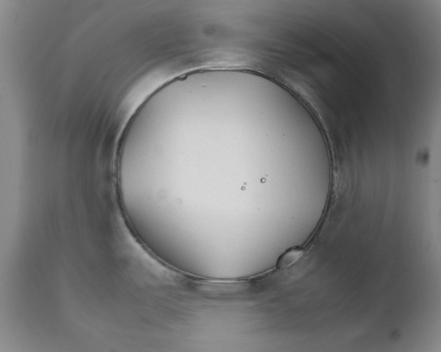 X0000111231487200907231452