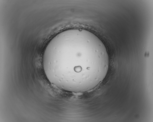 X0000111231490200907231451