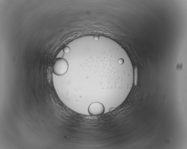 X0000111231491200907231451