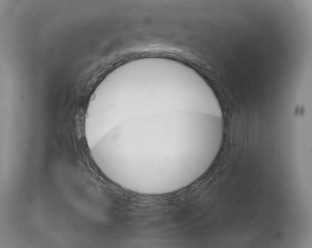 X0000111231493200907231451