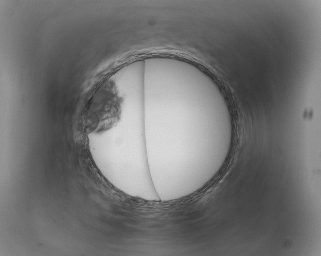 X0000111231494200907231452