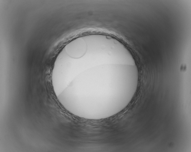 X0000111231495200907231452