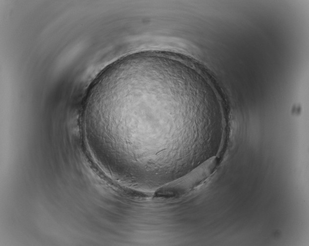 X0000111231497200907231452