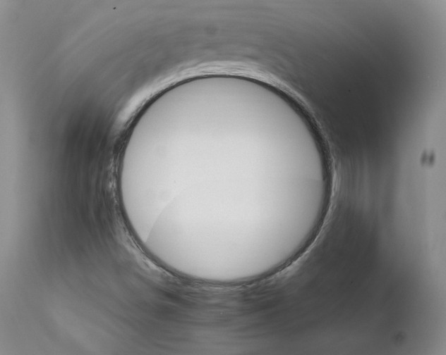 X0000111231498200907231452