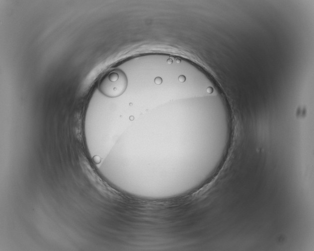 X0000111231499200907231452