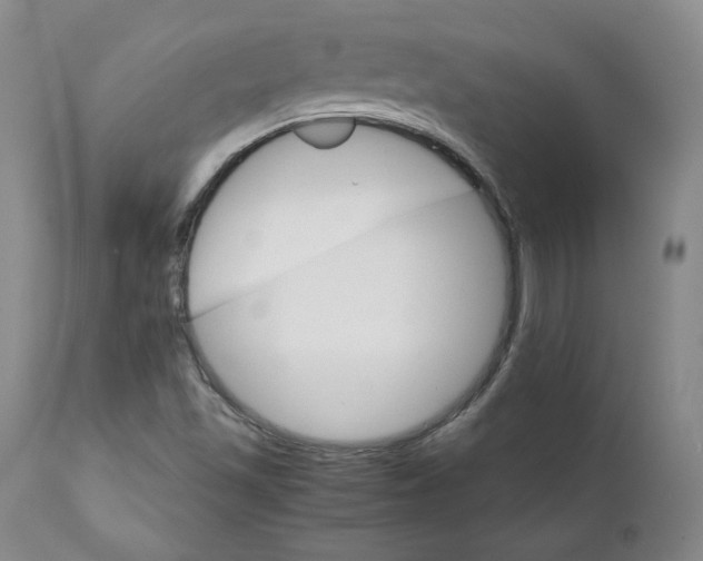 X0000111231501200907231452